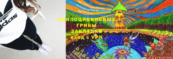 стафф Балабаново