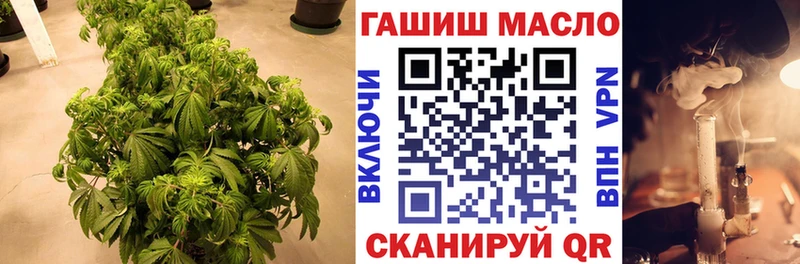 Купить закладки  Чегем  Дистиллят ТГК концентрат 